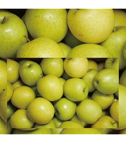 Amazon.co.jp: 青森県産 ご家庭用 りんご 王林 5kg (訳あり/13玉～23玉